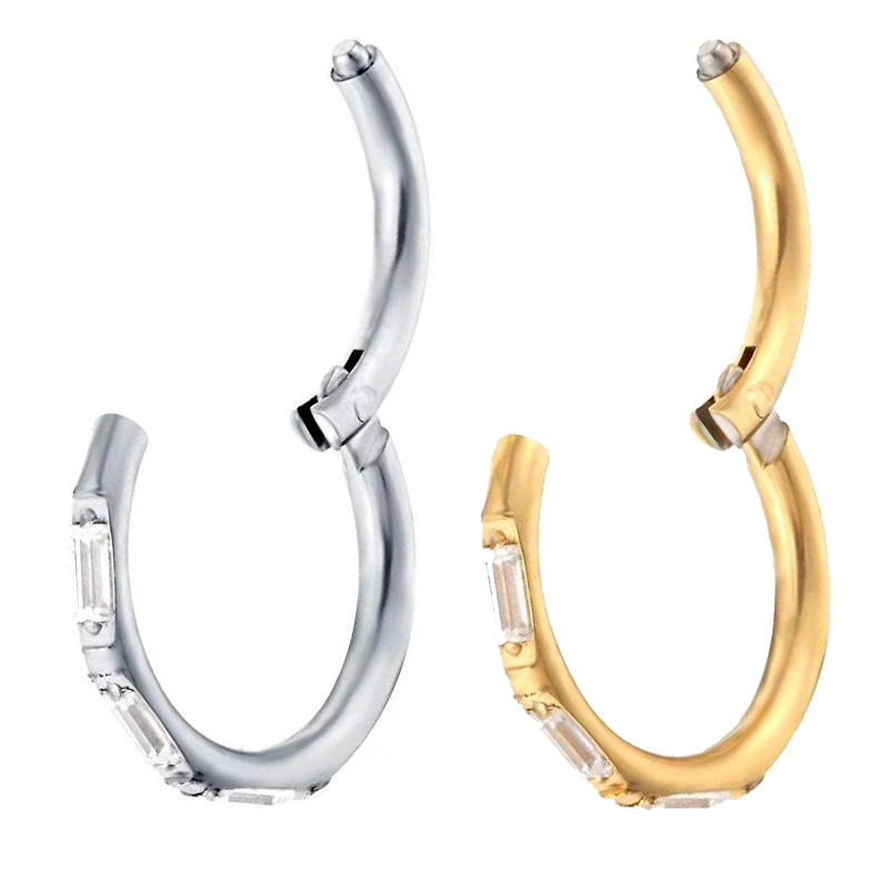 ASTM F136 Titanium Earrings Hi – Body Piercing Quality Jewelry Bewertung und Preis