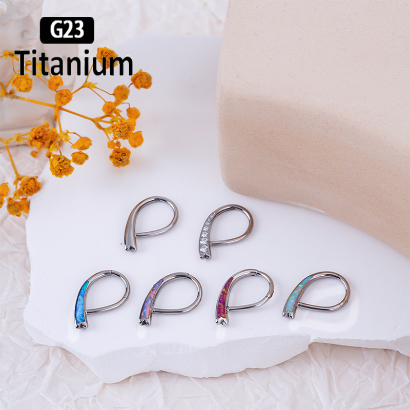 G23 Titanium Piercing High Qua – Body Piercing Quality Jewelry Bewertung und Preis