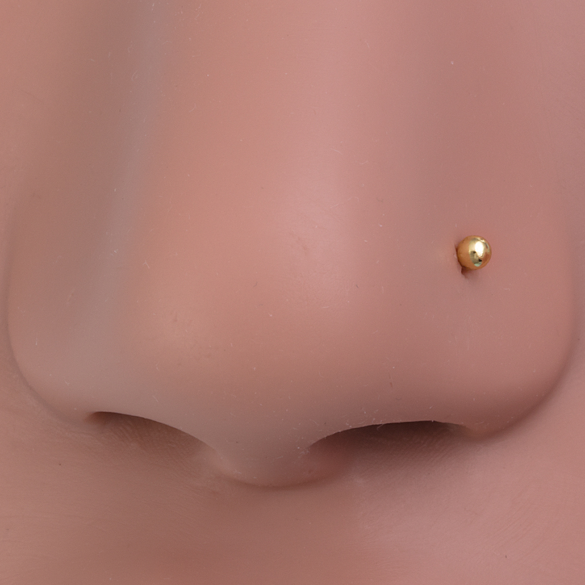 10pcs Nose Stud Rings Cartilag – Nostril Screw Pin Bewertung und Preis