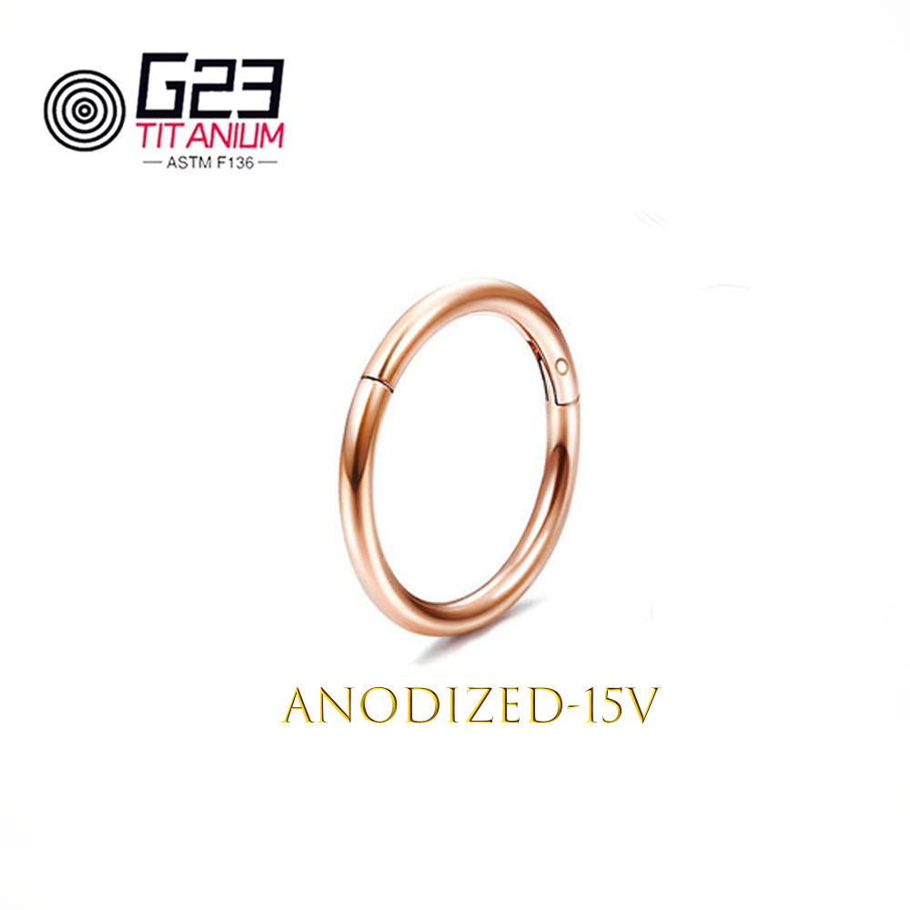 Wholesale G23 Titanium Nose Pi – Body Jewelry Implant Grade Bewertung und Preis