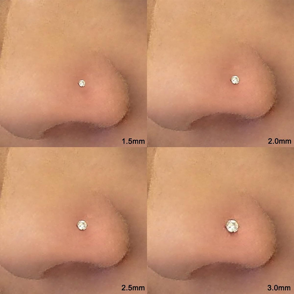 8Pcs 20G Zircon Nose Studs Set – Body Jewelry Changing Kit Bewertung und Preis