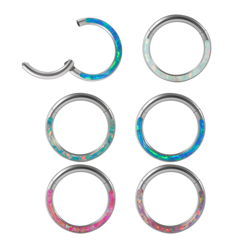 1PC Surgical Steel Opal Hinged – Body Piercing Quality Jewelry Bewertung und Preis