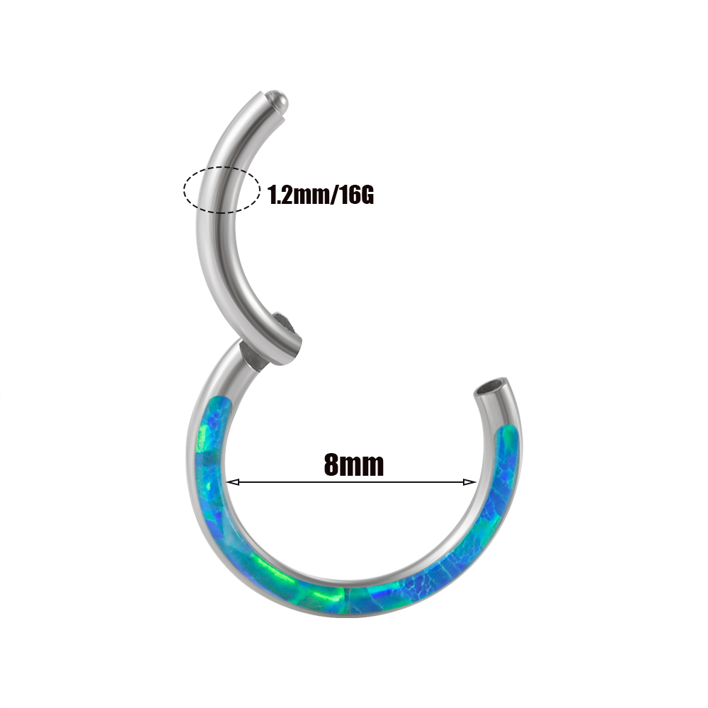 1PC Surgical Steel Opal Hinged – Body Piercing Quality Jewelry Bewertung und Preis