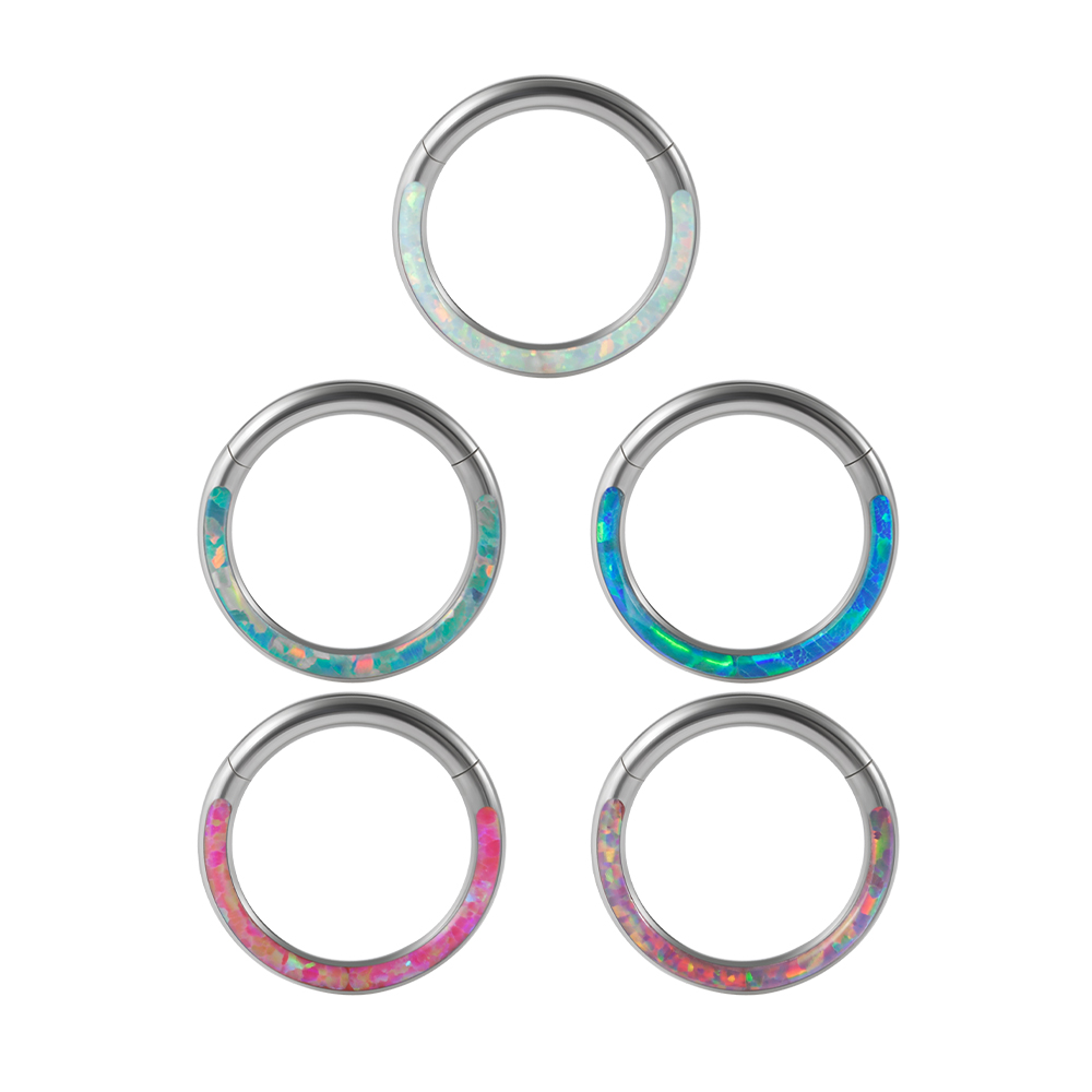 1PC Surgical Steel Opal Hinged – Body Piercing Quality Jewelry Bewertung und Preis