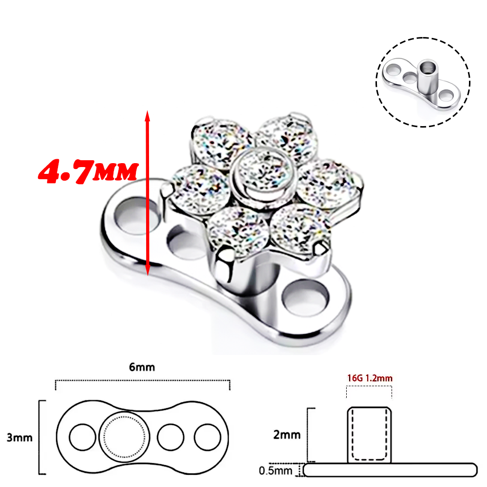 F136 Titanium Alloy High-Quali – Body Piercing Quality Jewelry Bewertung und Preis